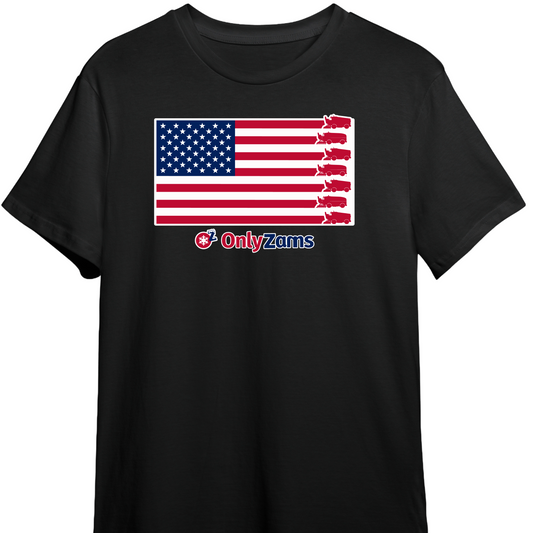 Black t-shirt with American flag design on front