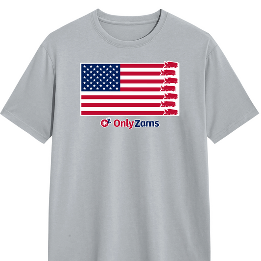Gray t-shirt with American flag design on front